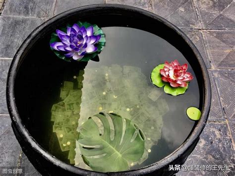 門口 養蓮花 風水|風水禁忌：家門口永遠別做的八件事